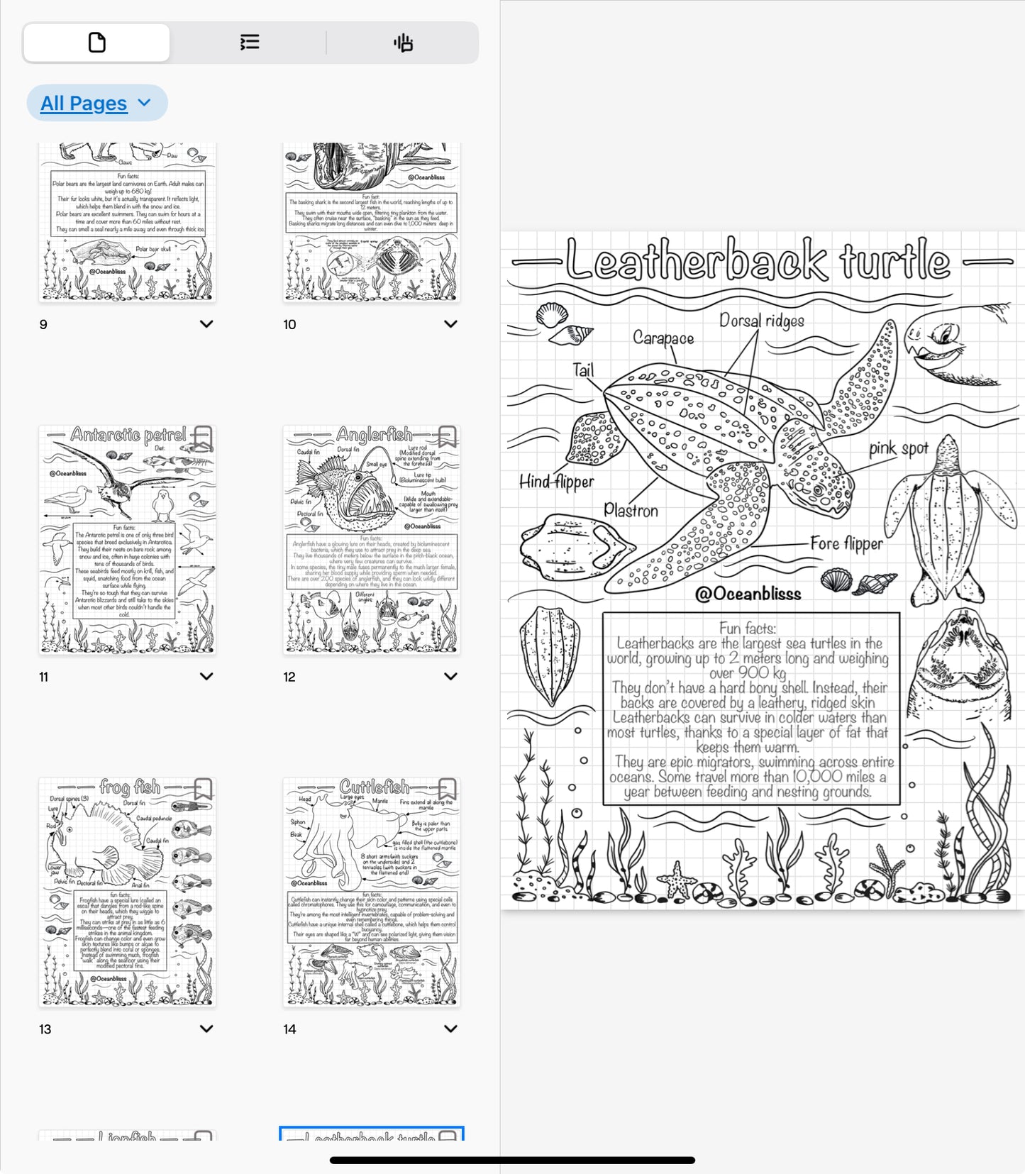 Marine biology notebook colouring book.