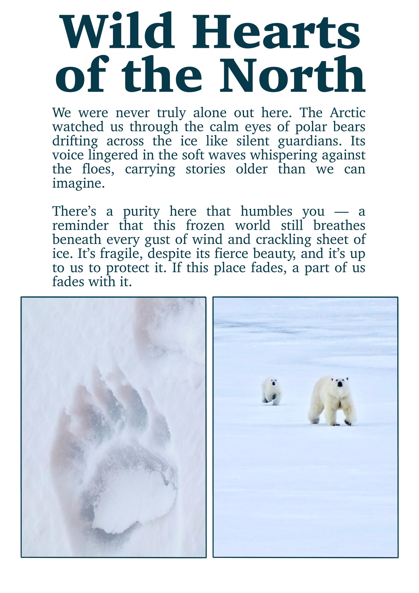 CURRENT life at the ends of the earth. Issue 1 Dec (digital download)