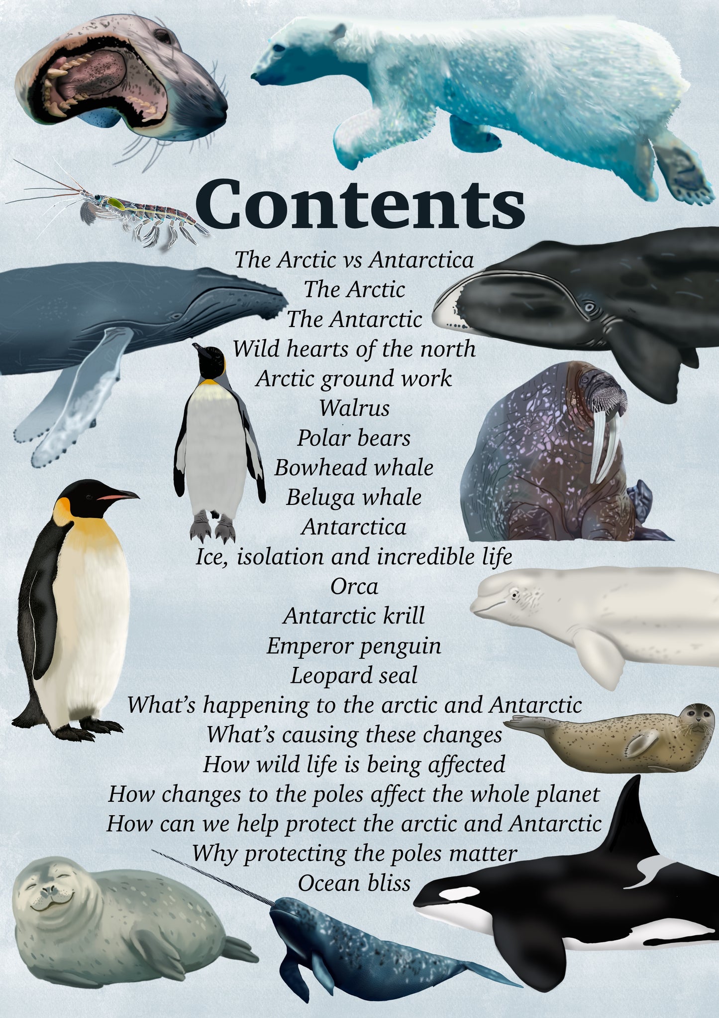 CURRENT life at the ends of the earth. Issue 1 Dec (digital download)