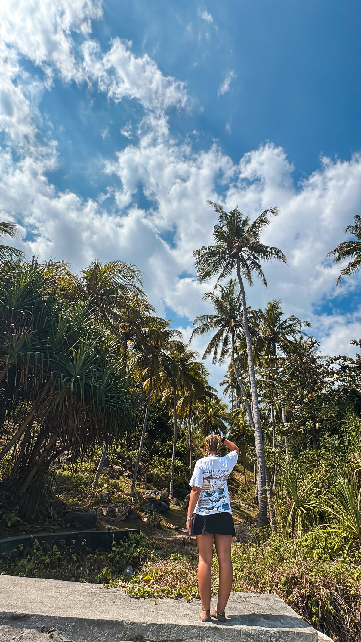 Ocean Bliss| Sharks of our oceans unisex T-shirt