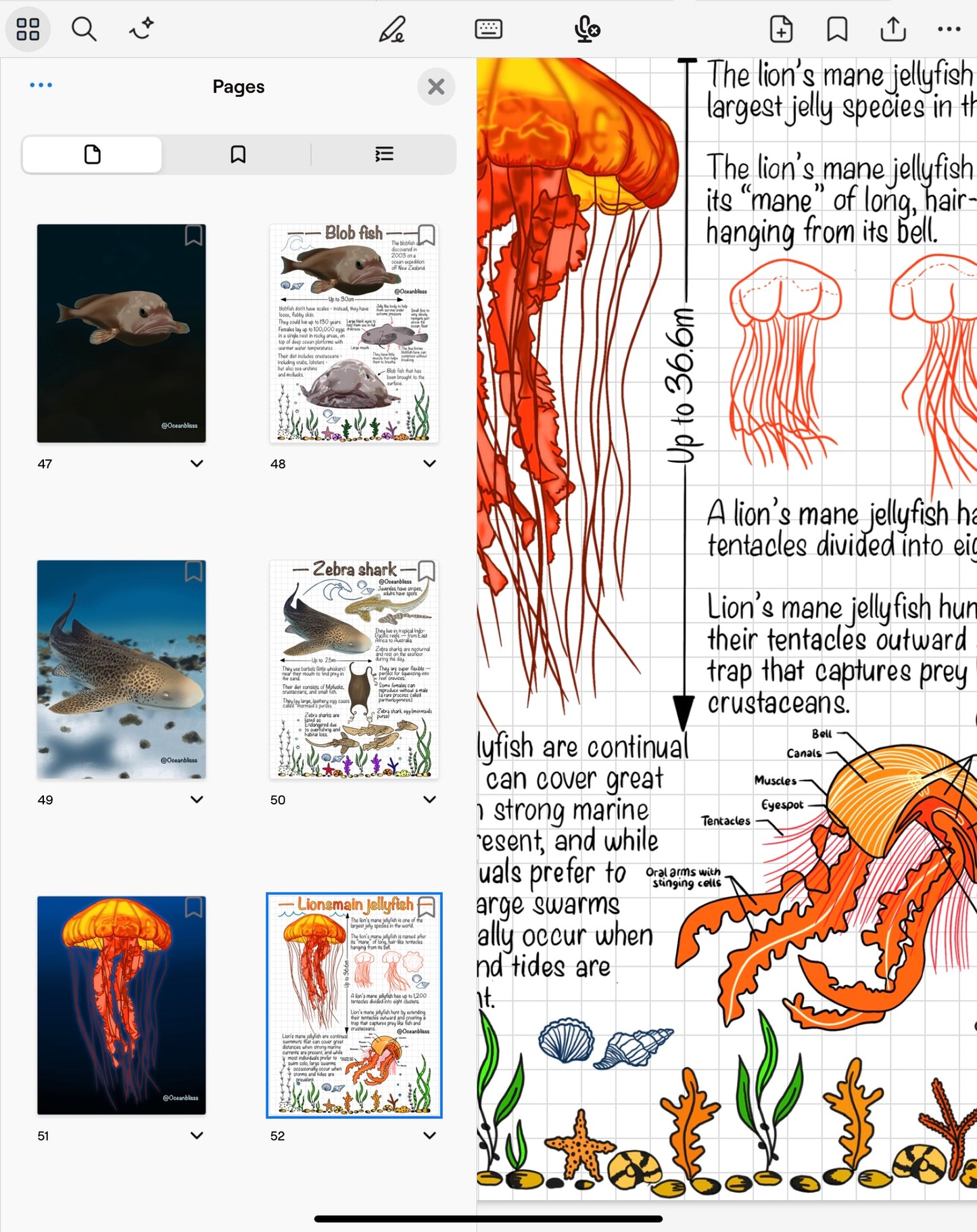 Marine Biology Notebook Bundle (Vol. 1 + Vol. 2) – Digital Download