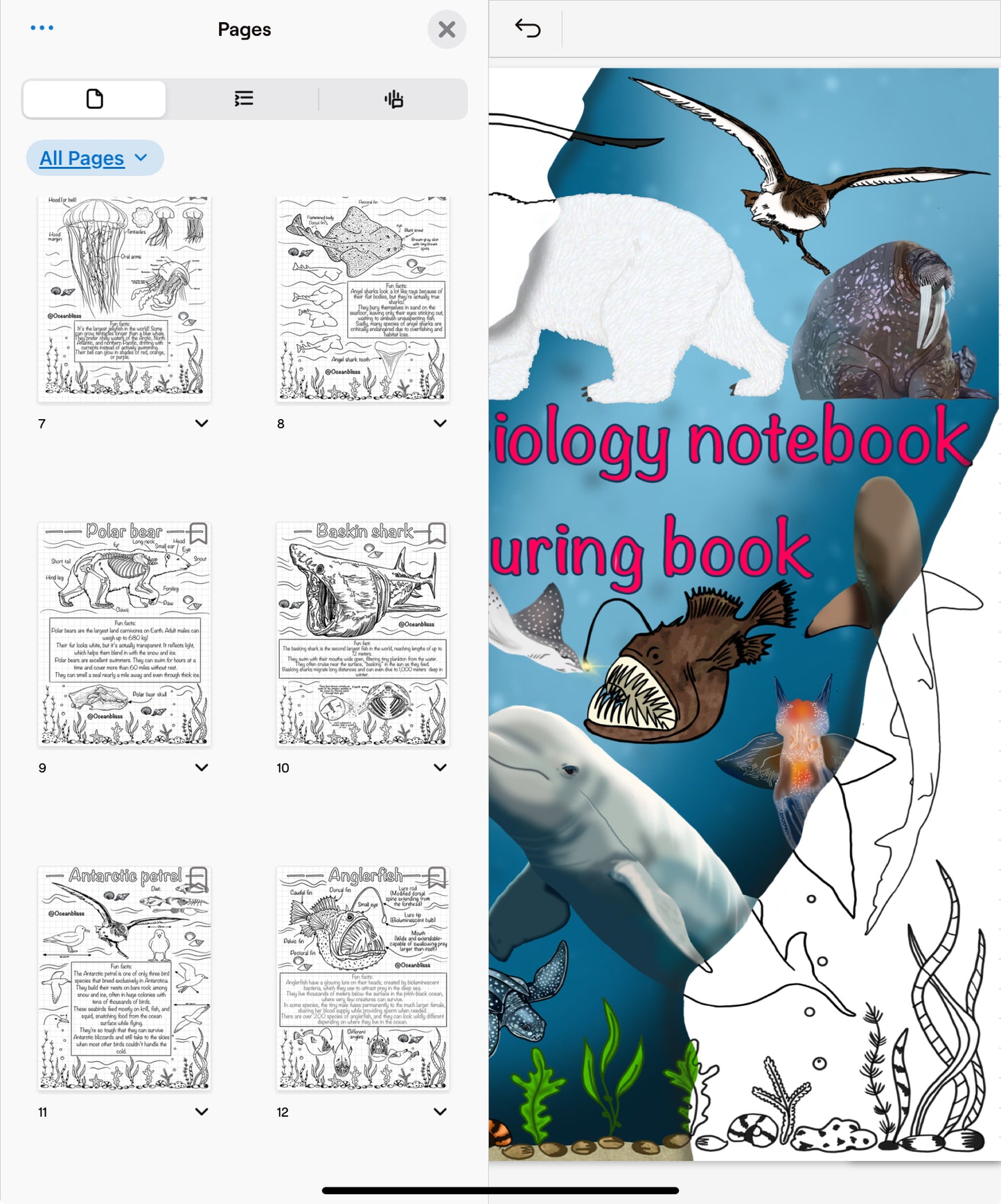 Marine biology notebook colouring book.