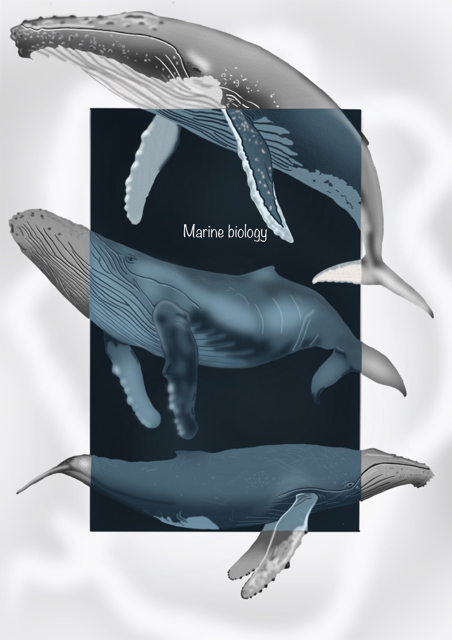 Marine Biology Notebook Bundle (Vol. 1 + Vol. 2) – Digital Download